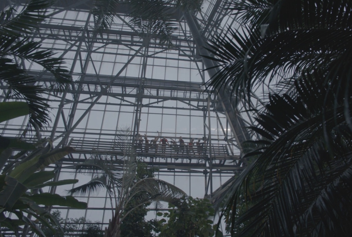 Still 462